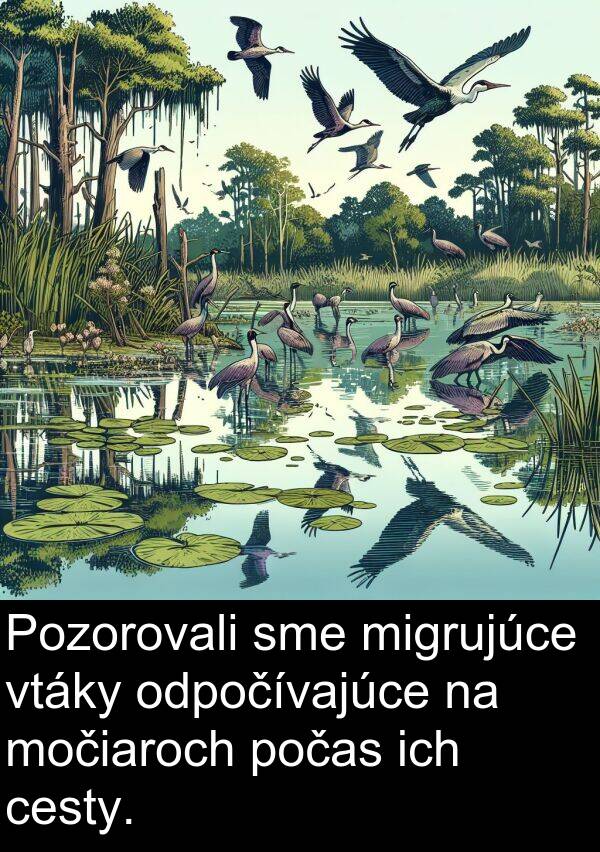 ich: Pozorovali sme migrujúce vtáky odpočívajúce na močiaroch počas ich cesty.