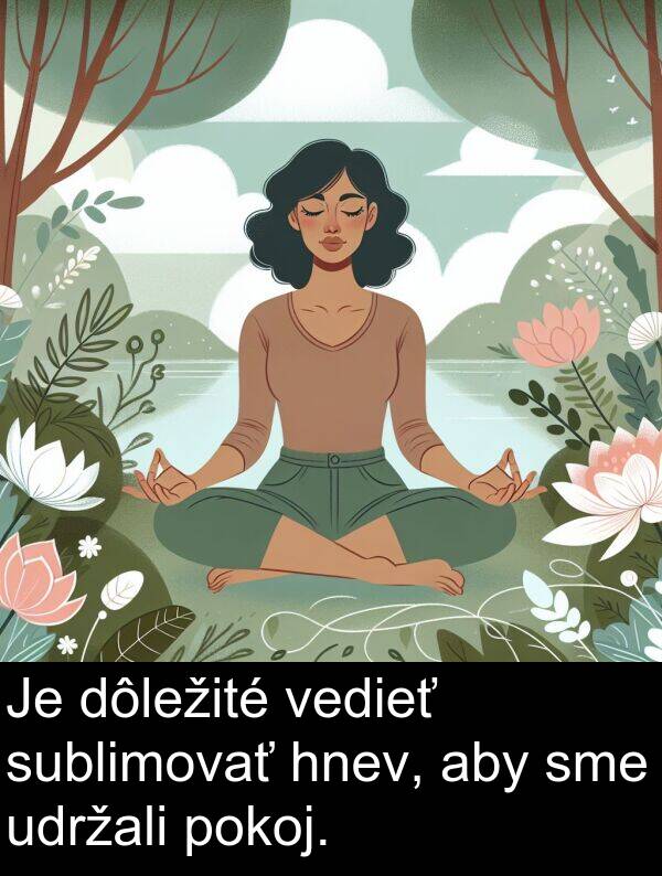 hnev: Je dôležité vedieť sublimovať hnev, aby sme udržali pokoj.
