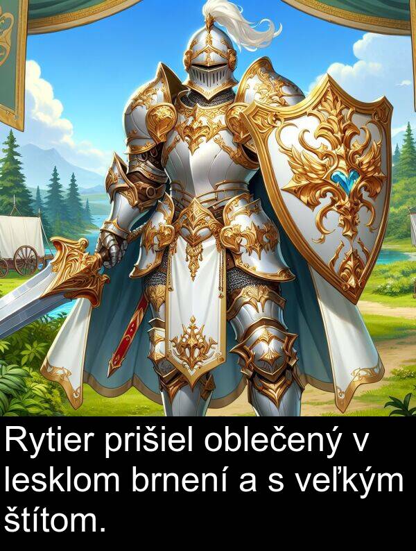 brnení: Rytier prišiel oblečený v lesklom brnení a s veľkým štítom.
