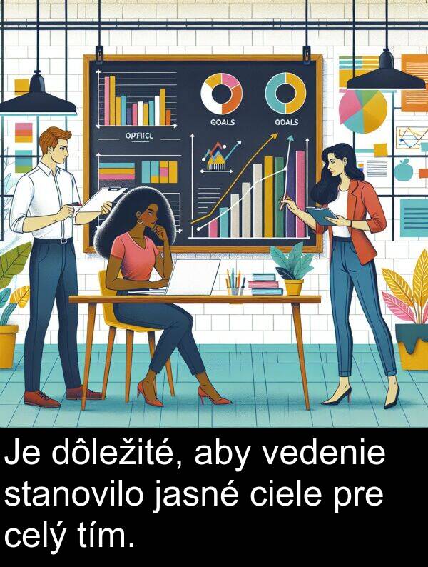 vedenie: Je dôležité, aby vedenie stanovilo jasné ciele pre celý tím.