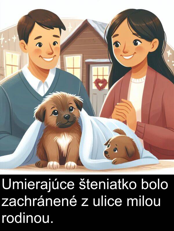 zachránené: Umierajúce šteniatko bolo zachránené z ulice milou rodinou.