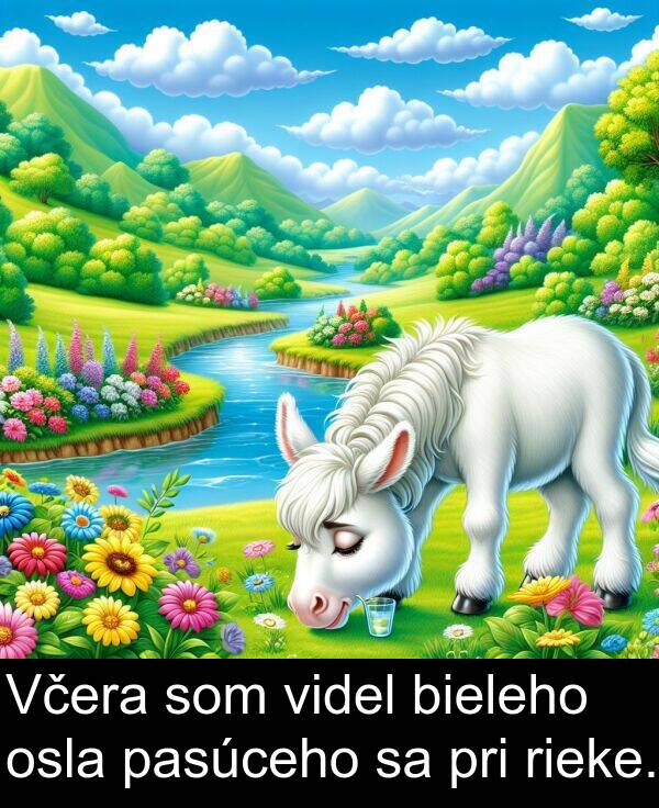 rieke: Včera som videl bieleho osla pasúceho sa pri rieke.