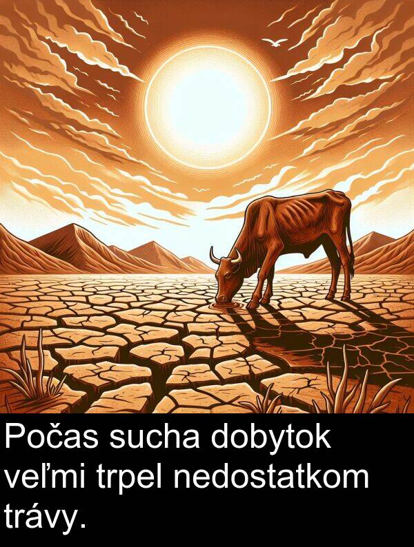 nedostatkom: Počas sucha dobytok veľmi trpel nedostatkom trávy.