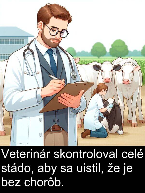 celé: Veterinár skontroloval celé stádo, aby sa uistil, že je bez chorôb.