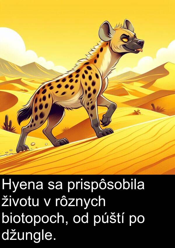biotopoch: Hyena sa prispôsobila životu v rôznych biotopoch, od púští po džungle.