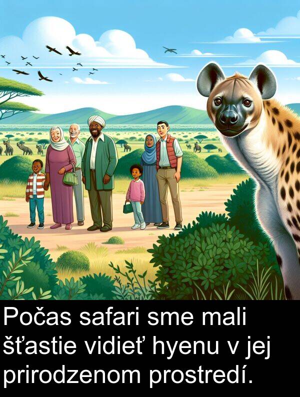 safari: Počas safari sme mali šťastie vidieť hyenu v jej prirodzenom prostredí.