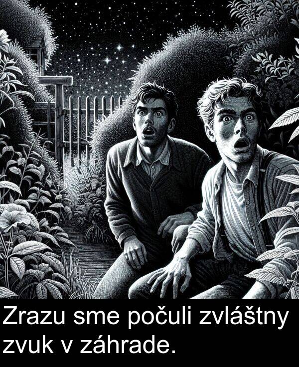 sme: Zrazu sme počuli zvláštny zvuk v záhrade.