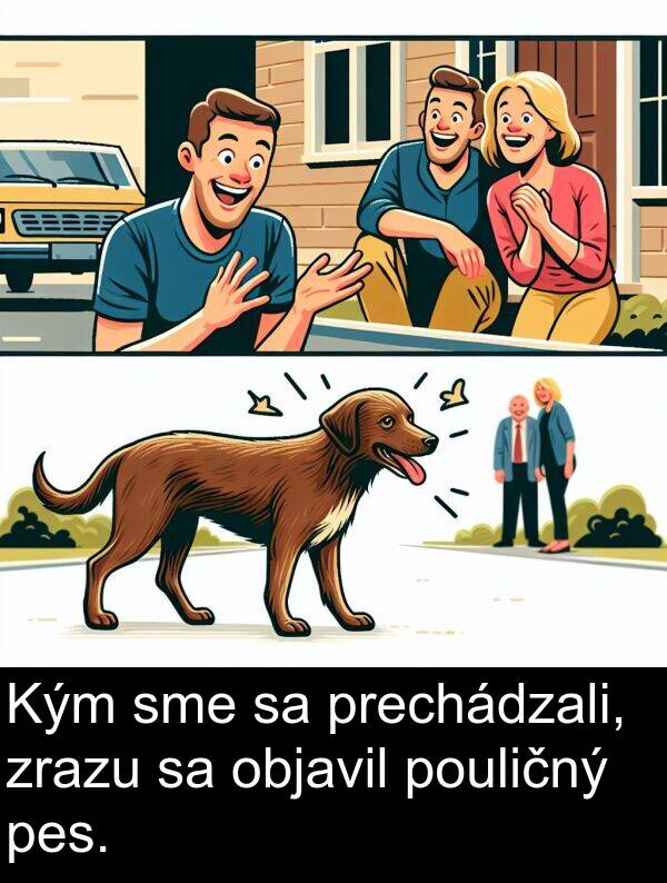 objavil: Kým sme sa prechádzali, zrazu sa objavil pouličný pes.