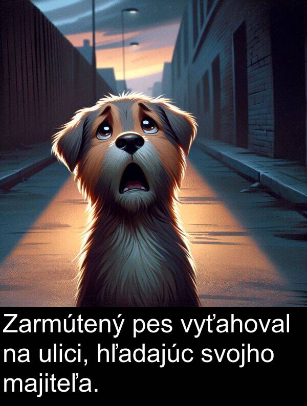 vyťahoval: Zarmútený pes vyťahoval na ulici, hľadajúc svojho majiteľa.