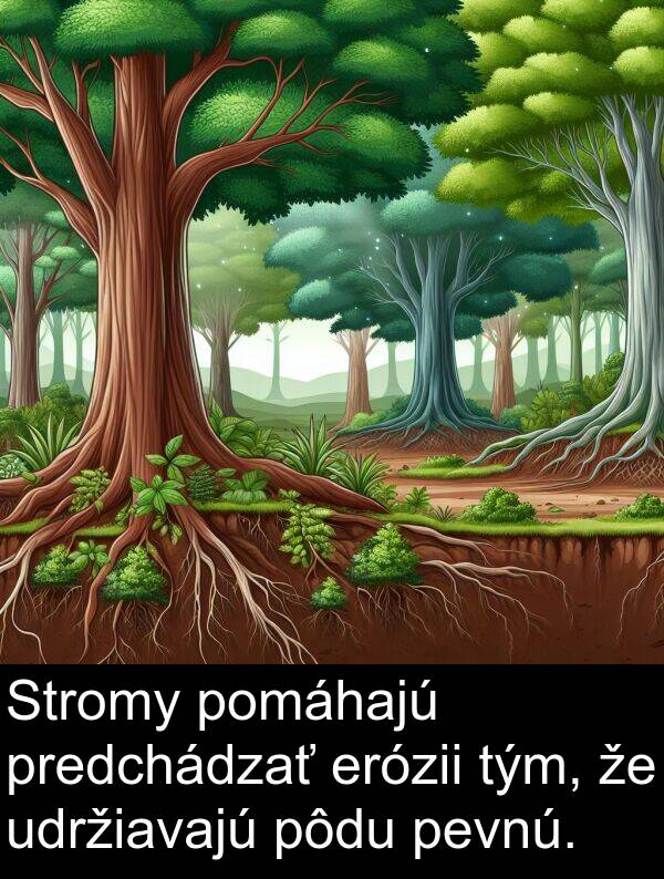 erózii: Stromy pomáhajú predchádzať erózii tým, že udržiavajú pôdu pevnú.