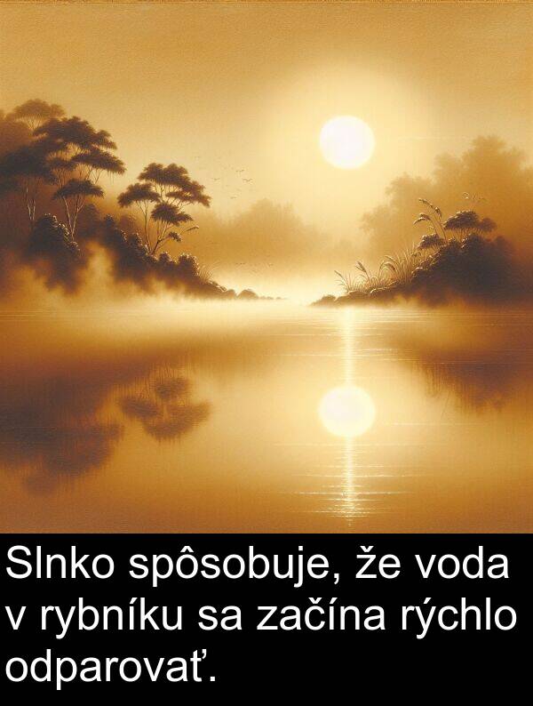 rybníku: Slnko spôsobuje, že voda v rybníku sa začína rýchlo odparovať.