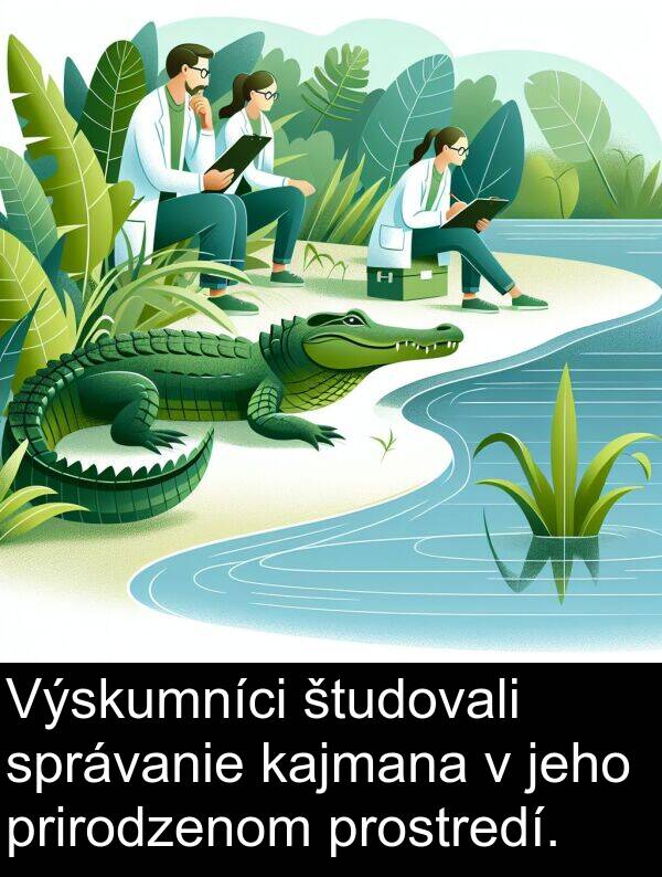 kajmana: Výskumníci študovali správanie kajmana v jeho prirodzenom prostredí.
