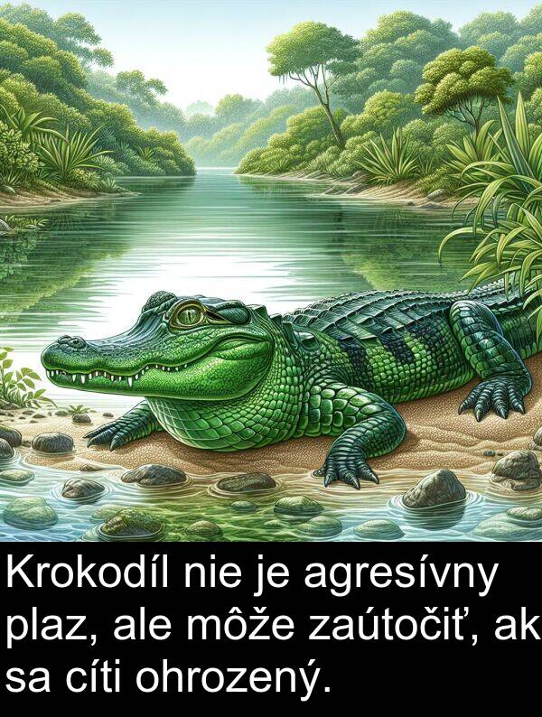 nie: Krokodíl nie je agresívny plaz, ale môže zaútočiť, ak sa cíti ohrozený.