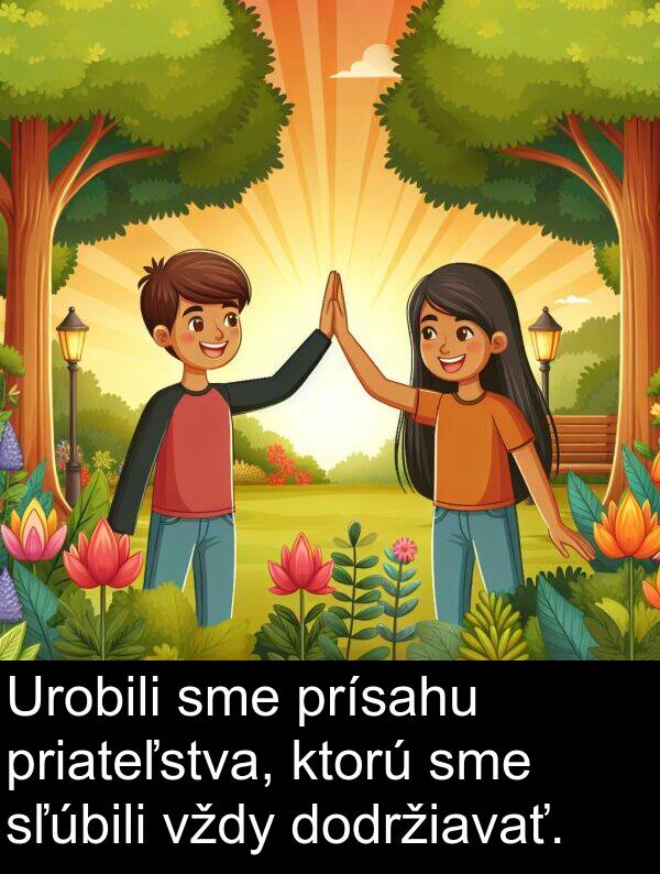 sľúbili: Urobili sme prísahu priateľstva, ktorú sme sľúbili vždy dodržiavať.