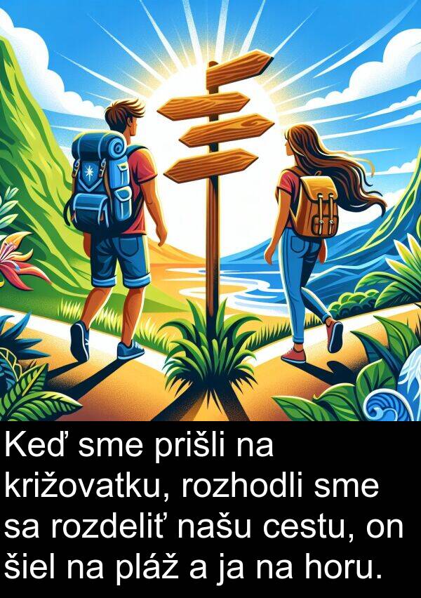 cestu: Keď sme prišli na križovatku, rozhodli sme sa rozdeliť našu cestu, on šiel na pláž a ja na horu.