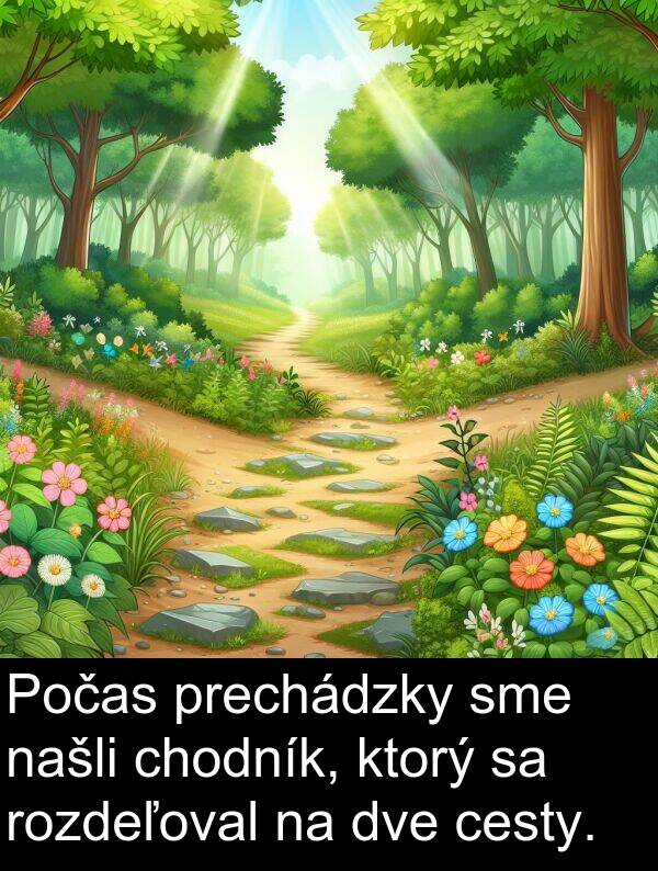 cesty: Počas prechádzky sme našli chodník, ktorý sa rozdeľoval na dve cesty.