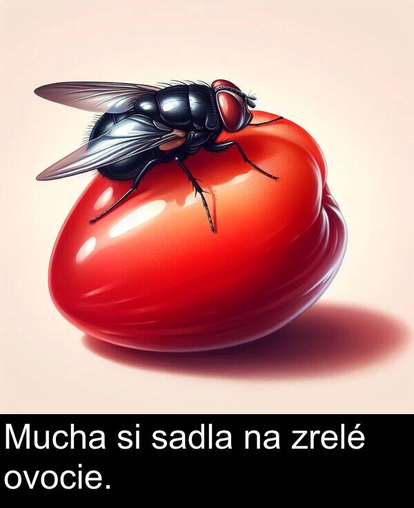 sadla: Mucha si sadla na zrelé ovocie.