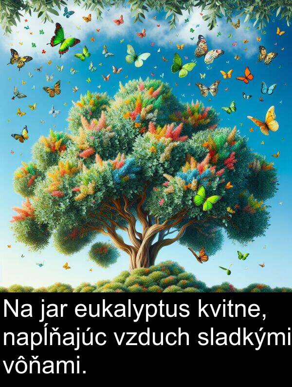 jar: Na jar eukalyptus kvitne, napĺňajúc vzduch sladkými vôňami.