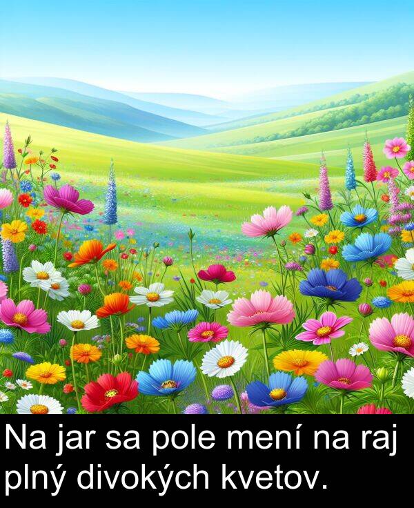 jar: Na jar sa pole mení na raj plný divokých kvetov.