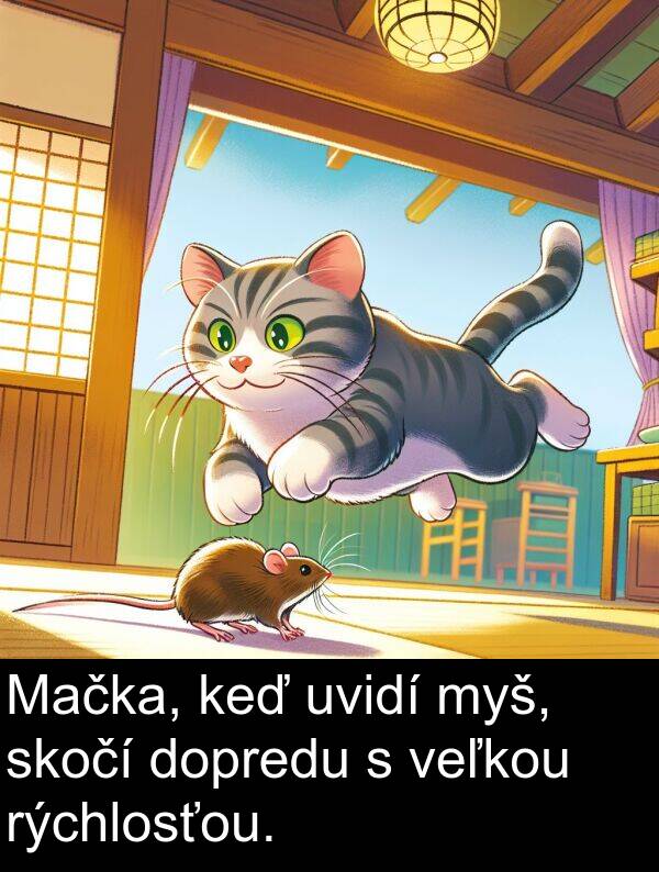 myš: Mačka, keď uvidí myš, skočí dopredu s veľkou rýchlosťou.