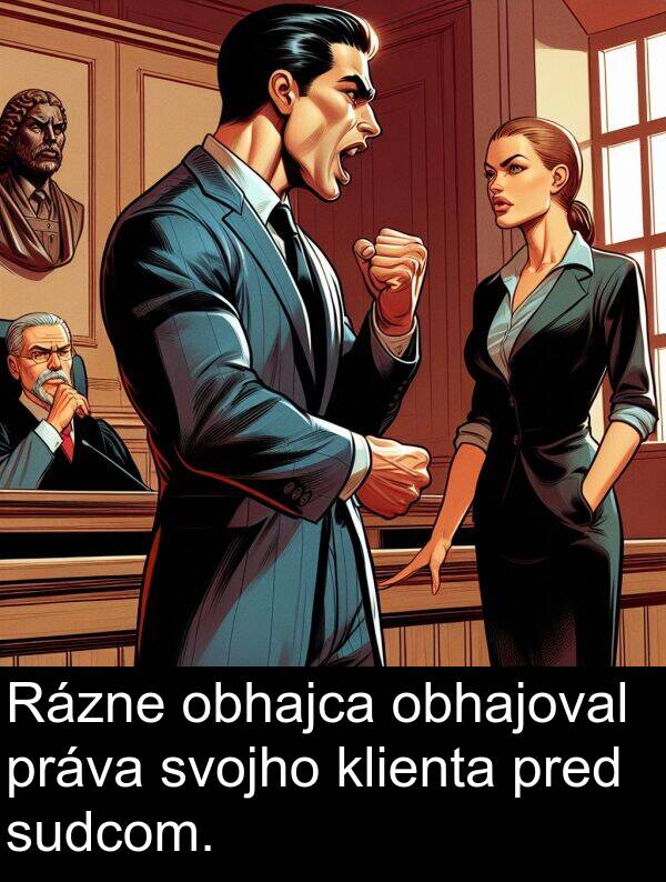 obhajca: Rázne obhajca obhajoval práva svojho klienta pred sudcom.
