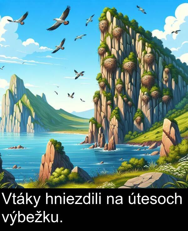 hniezdili: Vtáky hniezdili na útesoch výbežku.