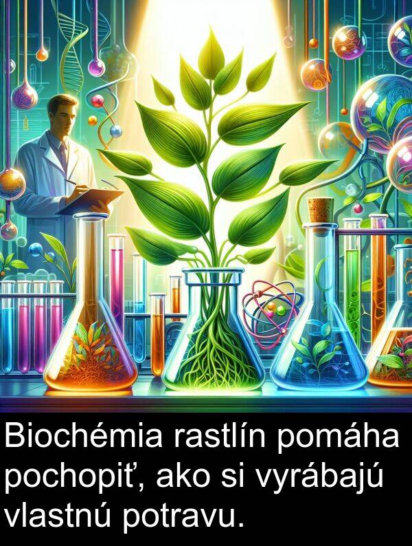 potravu: Biochémia rastlín pomáha pochopiť, ako si vyrábajú vlastnú potravu.