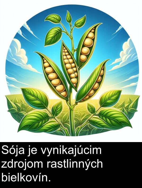 vynikajúcim: Sója je vynikajúcim zdrojom rastlinných bielkovín.