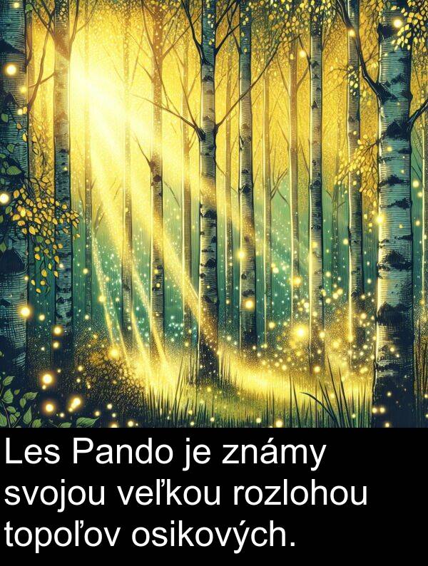 veľkou: Les Pando je známy svojou veľkou rozlohou topoľov osikových.