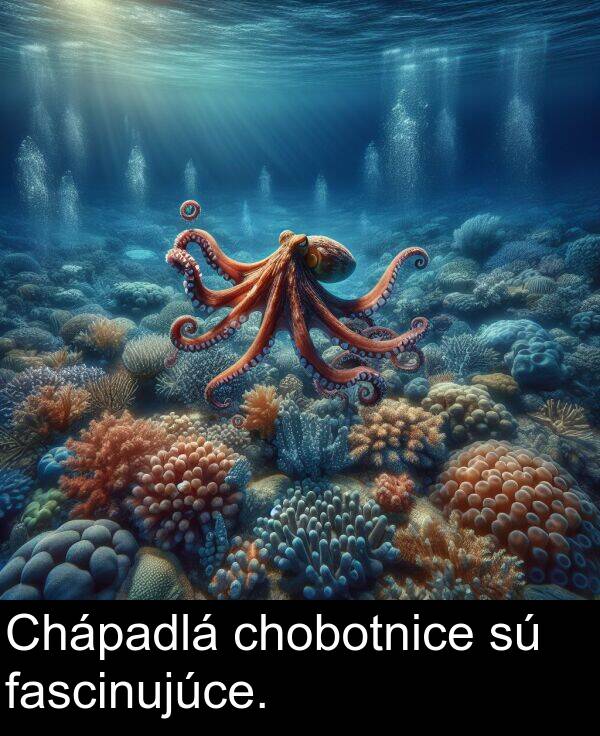 fascinujúce: Chápadlá chobotnice sú fascinujúce.