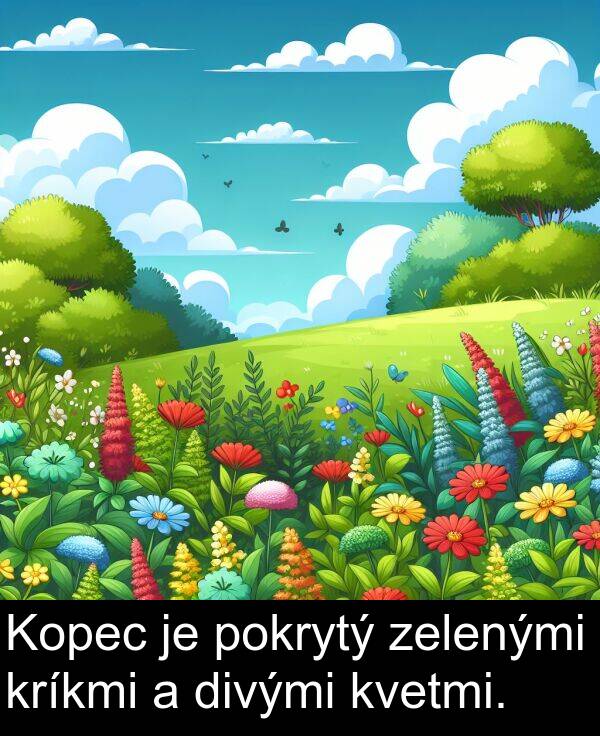 zelenými: Kopec je pokrytý zelenými kríkmi a divými kvetmi.