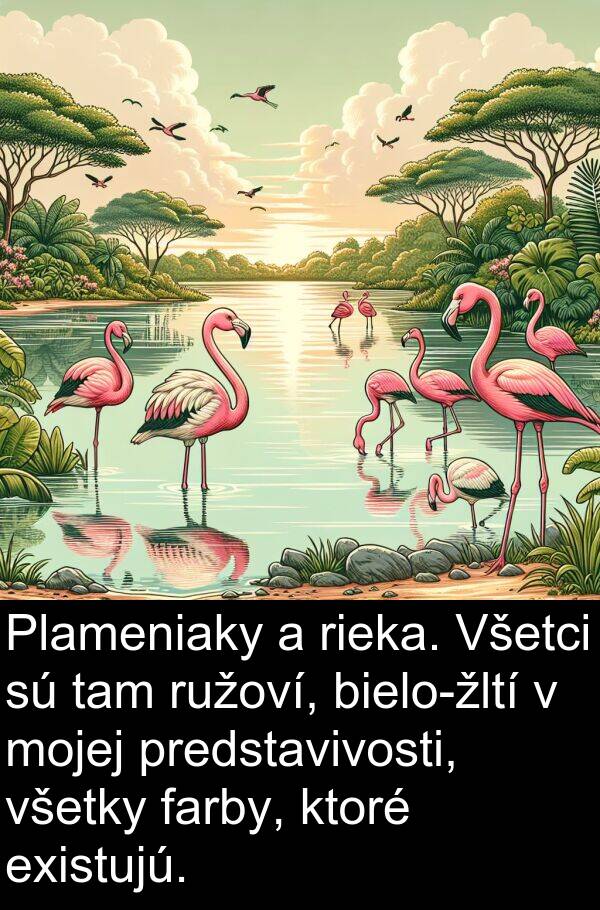 farby: Plameniaky a rieka. Všetci sú tam ružoví, bielo-žltí v mojej predstavivosti, všetky farby, ktoré existujú.
