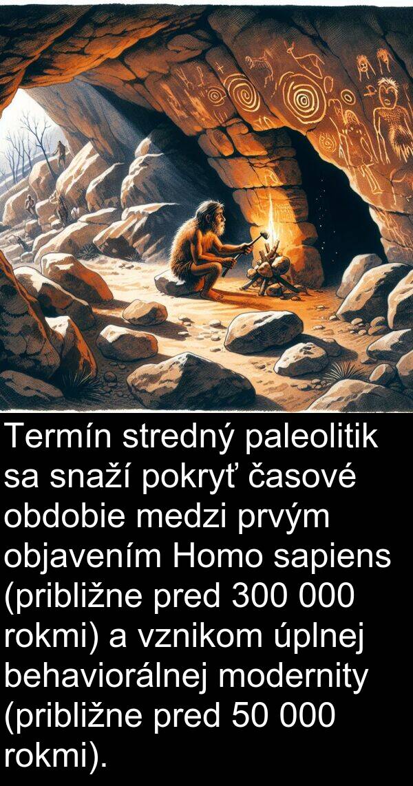 časové: Termín stredný paleolitik sa snaží pokryť časové obdobie medzi prvým objavením Homo sapiens (približne pred 300 000 rokmi) a vznikom úplnej behaviorálnej modernity (približne pred 50 000 rokmi).