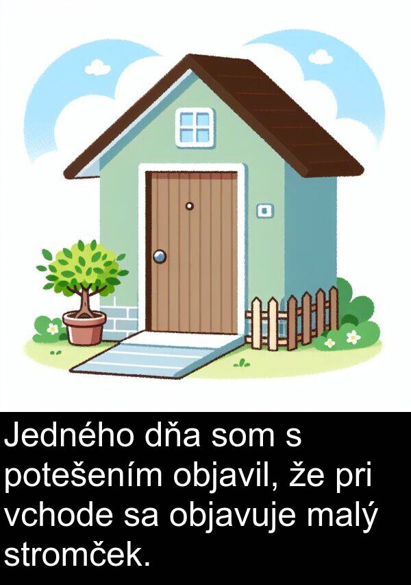 vchode: Jedného dňa som s potešením objavil, že pri vchode sa objavuje malý stromček.