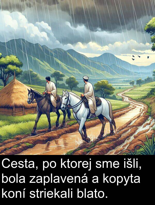 išli: Cesta, po ktorej sme išli, bola zaplavená a kopyta koní striekali blato.