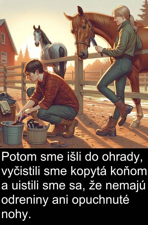 sa: Potom sme išli do ohrady, vyčistili sme kopytá koňom a uistili sme sa, že nemajú odreniny ani opuchnuté nohy.