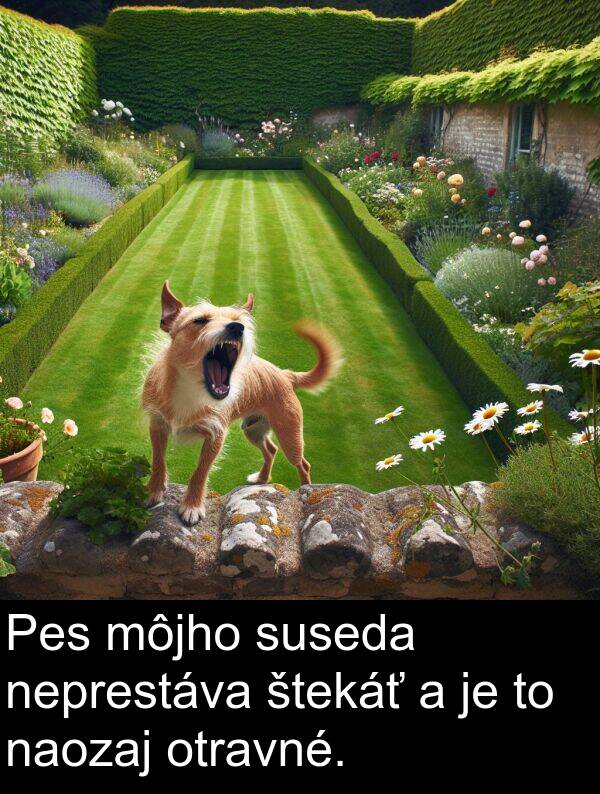 suseda: Pes môjho suseda neprestáva štekáť a je to naozaj otravné.
