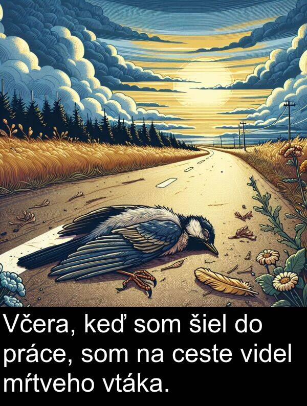 ceste: Včera, keď som šiel do práce, som na ceste videl mŕtveho vtáka.