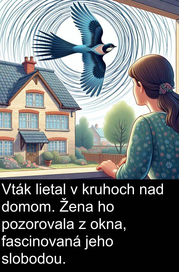 nad: Vták lietal v kruhoch nad domom. Žena ho pozorovala z okna, fascinovaná jeho slobodou.