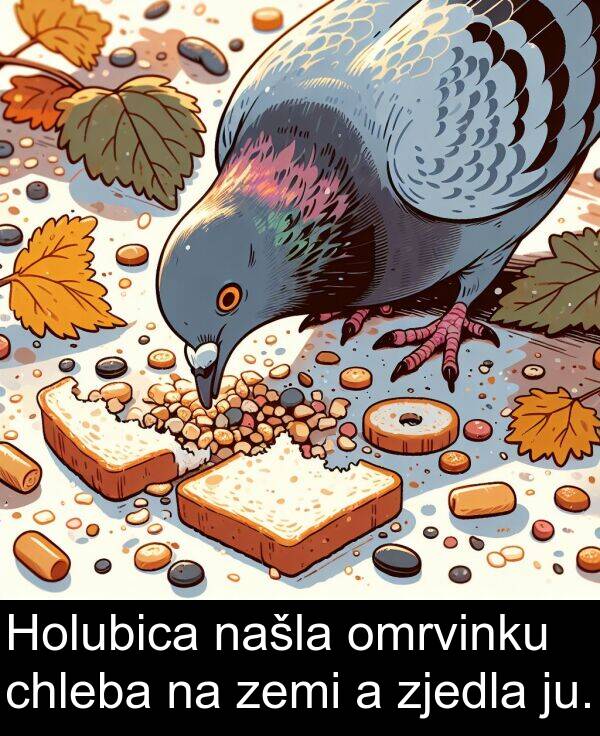 chleba: Holubica našla omrvinku chleba na zemi a zjedla ju.