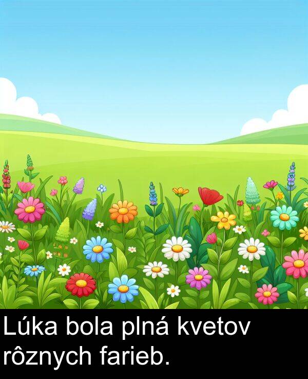 farieb: Lúka bola plná kvetov rôznych farieb.