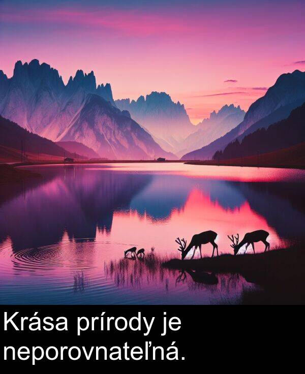 neporovnateľná: Krása prírody je neporovnateľná.