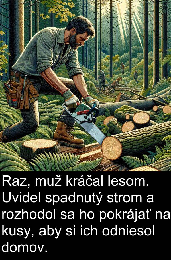 muž: Raz, muž kráčal lesom. Uvidel spadnutý strom a rozhodol sa ho pokrájať na kusy, aby si ich odniesol domov.