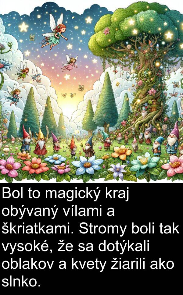 slnko: Bol to magický kraj obývaný vílami a škriatkami. Stromy boli tak vysoké, že sa dotýkali oblakov a kvety žiarili ako slnko.