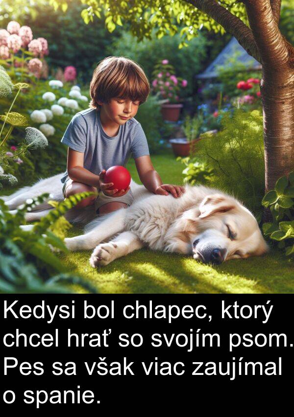 chcel: Kedysi bol chlapec, ktorý chcel hrať so svojím psom. Pes sa však viac zaujímal o spanie.