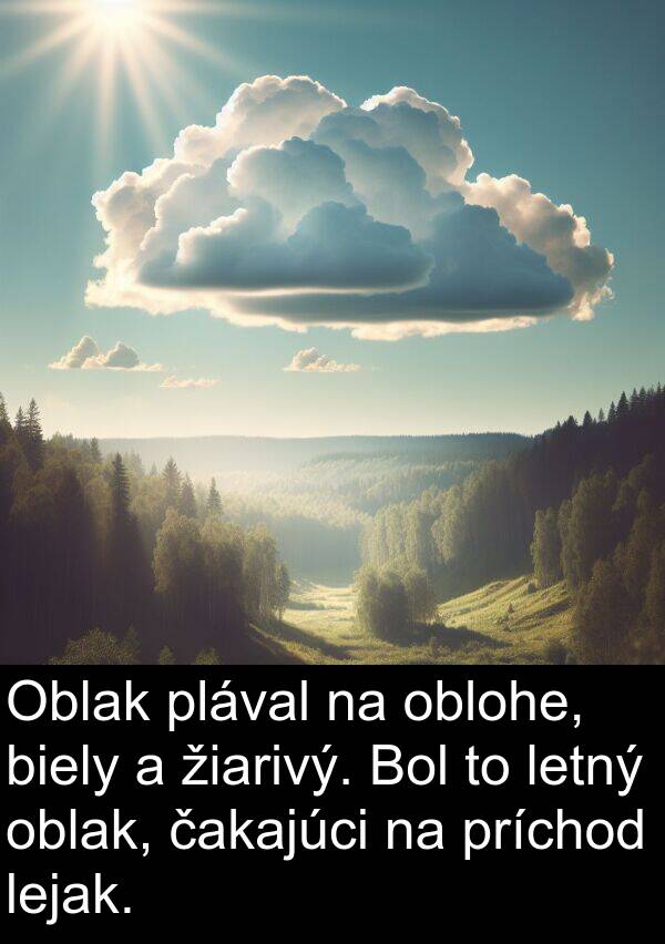 oblohe: Oblak plával na oblohe, biely a žiarivý. Bol to letný oblak, čakajúci na príchod lejak.