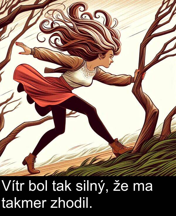 silný: Vítr bol tak silný, že ma takmer zhodil.