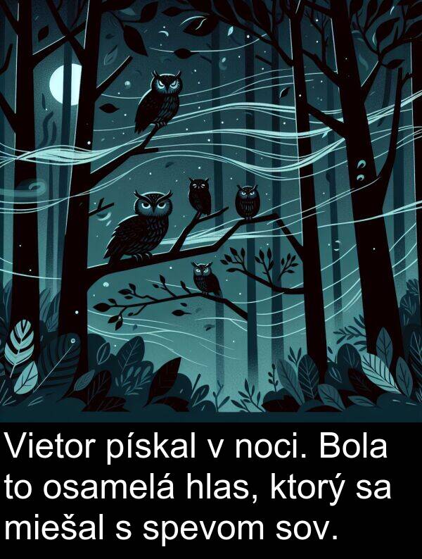 noci: Vietor pískal v noci. Bola to osamelá hlas, ktorý sa miešal s spevom sov.