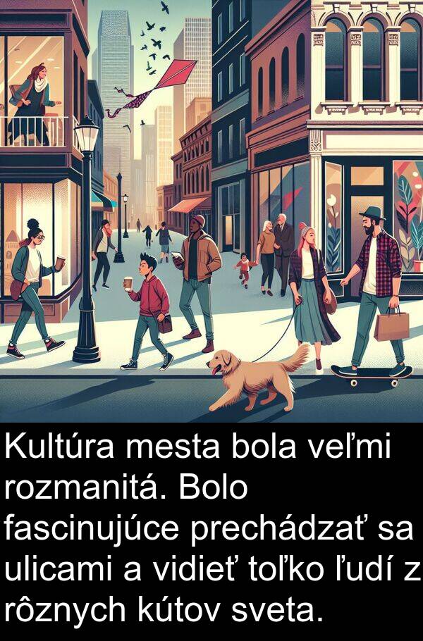 fascinujúce: Kultúra mesta bola veľmi rozmanitá. Bolo fascinujúce prechádzať sa ulicami a vidieť toľko ľudí z rôznych kútov sveta.