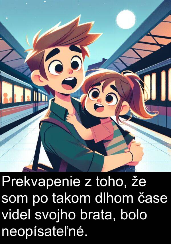 neopísateľné: Prekvapenie z toho, že som po takom dlhom čase videl svojho brata, bolo neopísateľné.